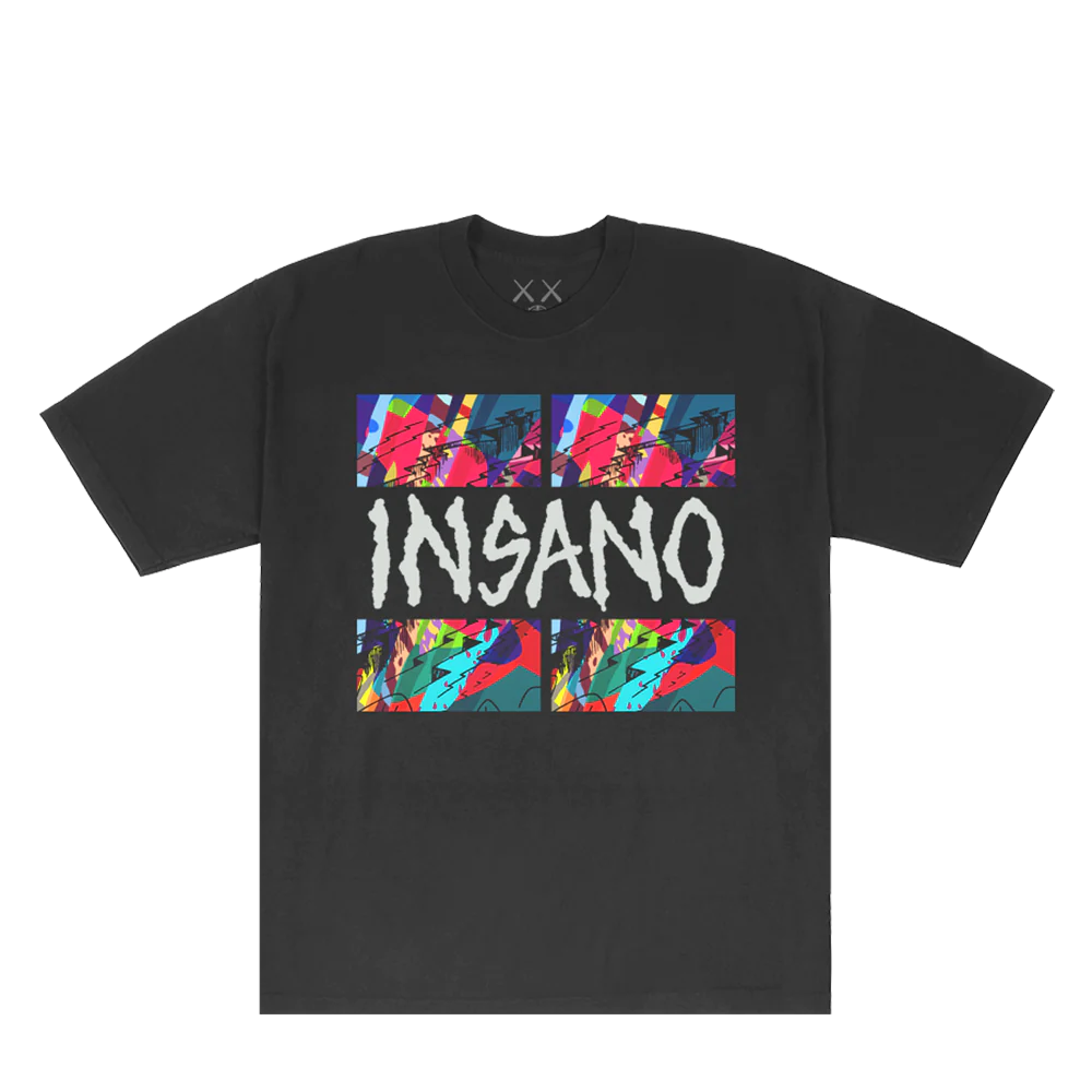 Kid Cudi - Kaws For Insano Tee